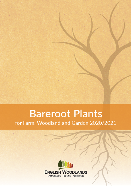 English Woodlands Bareroot Plants 2020/2021