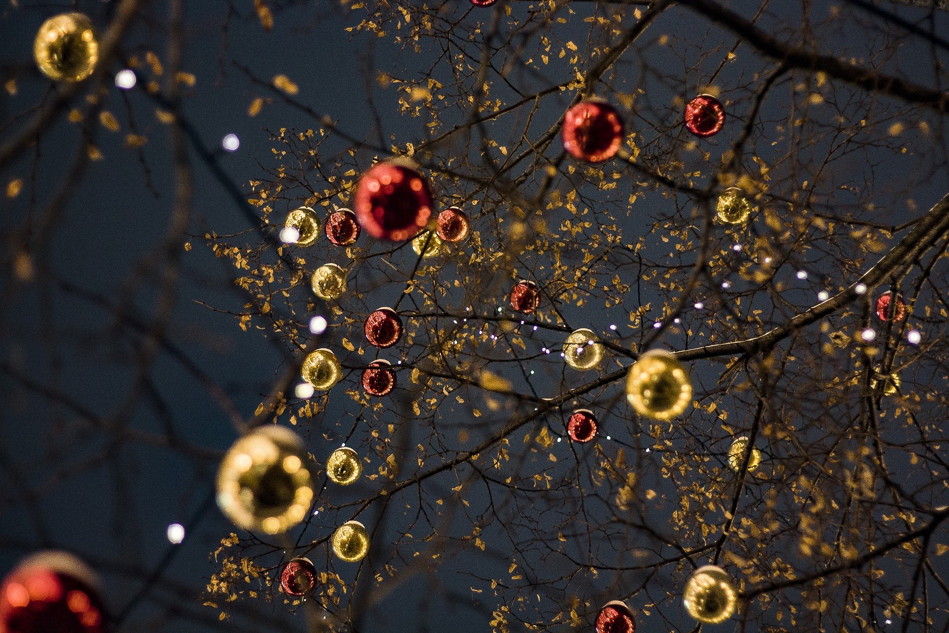 Christmas ornaments on tree