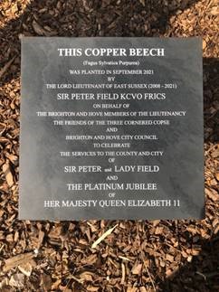Tree plaque commemorates QGC