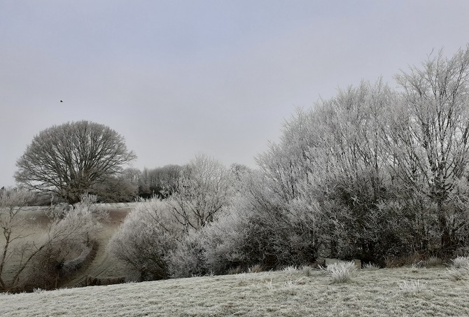 Frosty landscape