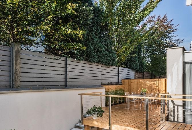 Tall plants for top privacy in pots
