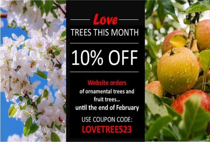 LOVE TREES during February 2023 and enjoy 10% off!