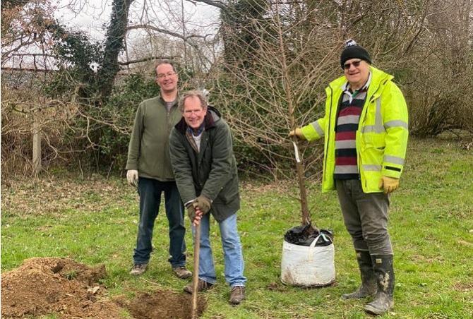 Plant a tree to commemorate the King's Coronation!