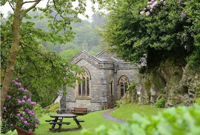 Trees in an English Churchyard