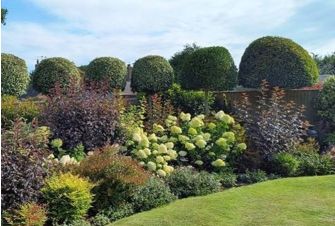 Plants for your garden for year-round interest 