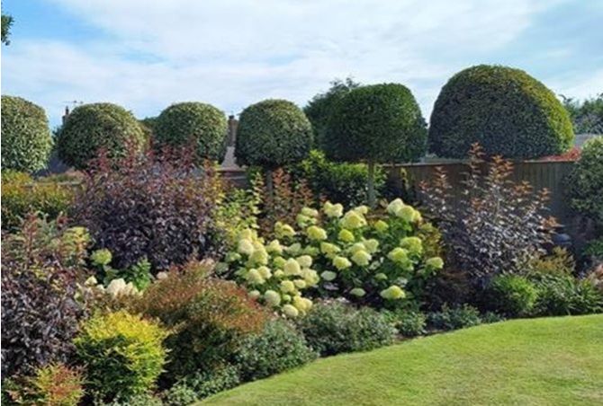 Plants for your garden for year-round interest 