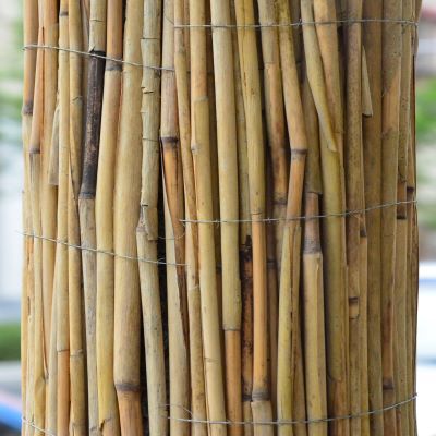 Bamboo Canes-90cm