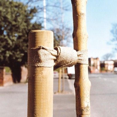 Hessian Tree Tie-30m roll x 50mm