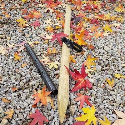 Single Stake package includes tie and guard