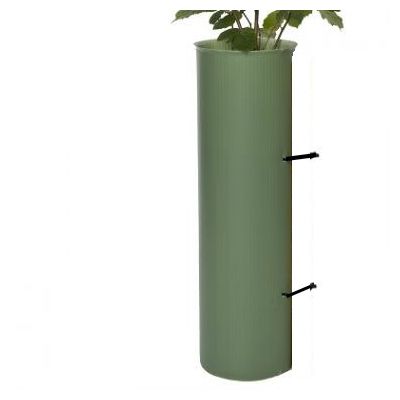 Tubex Shrub Shelter-Wide diameter guard