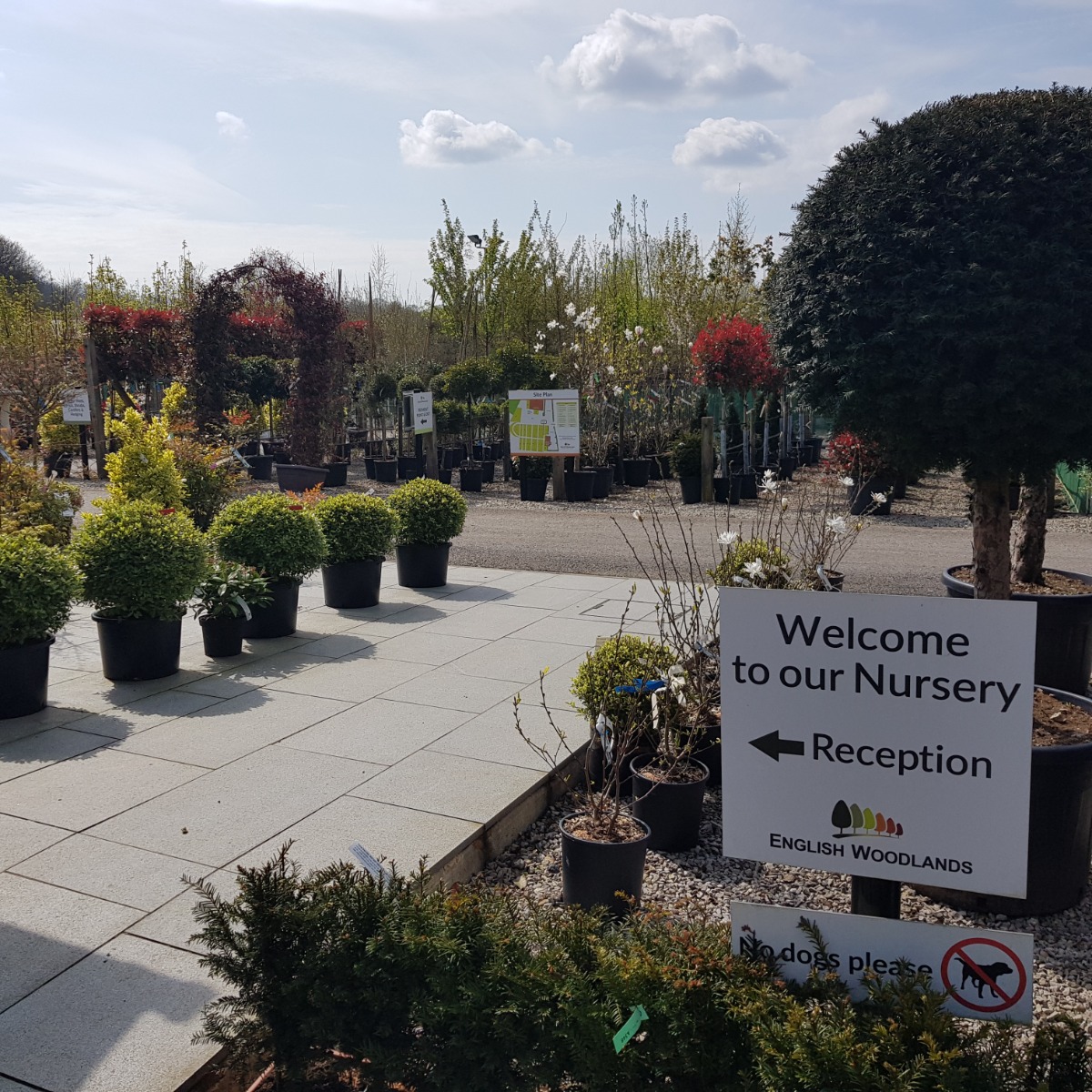 View of the nursery at English Woodlands