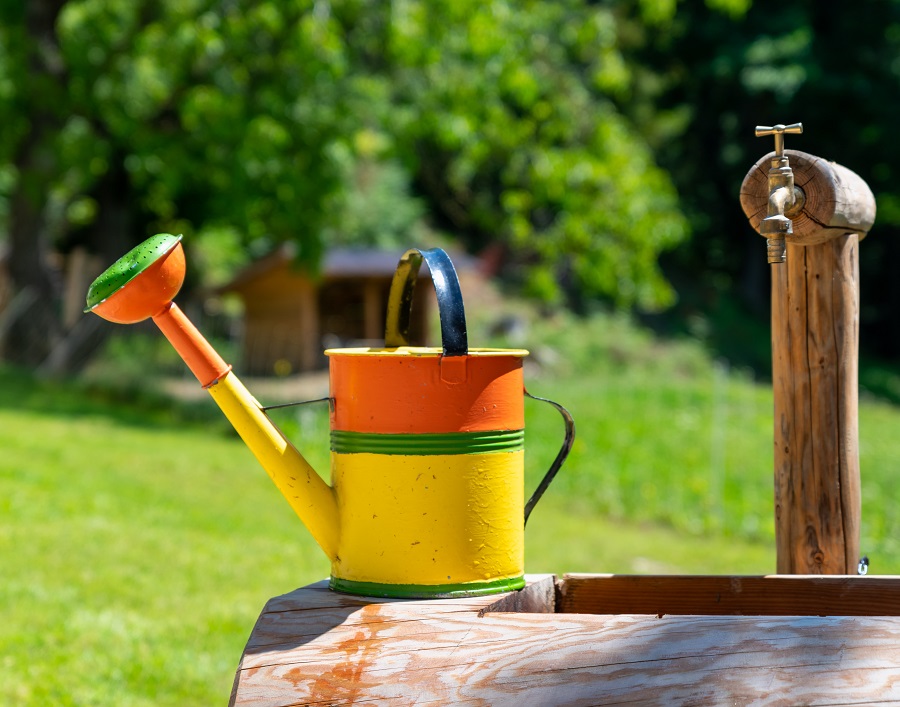 A beautiful watering can might help you to remember to water new plants in spring!