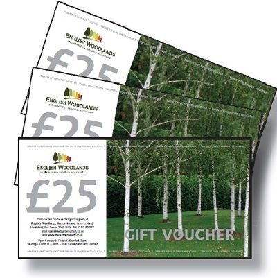 Buy Gift Vouchers