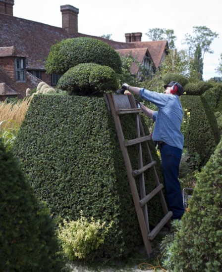 Topiary yew at Great Dixter