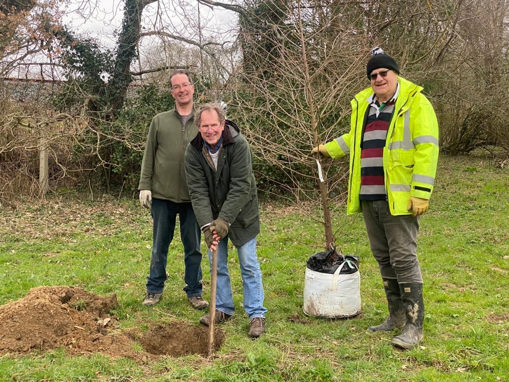 Taxodium distichum planting for QGC